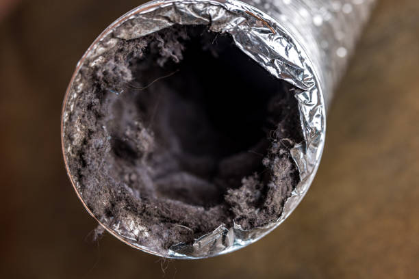 Best Affordable Air Duct Cleaning  in Grenelefe, FL